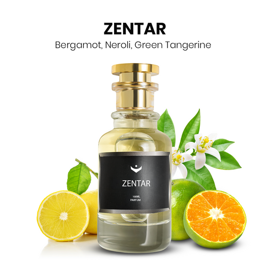 ZENTAR – Inspired by Acqua di Gio Armani