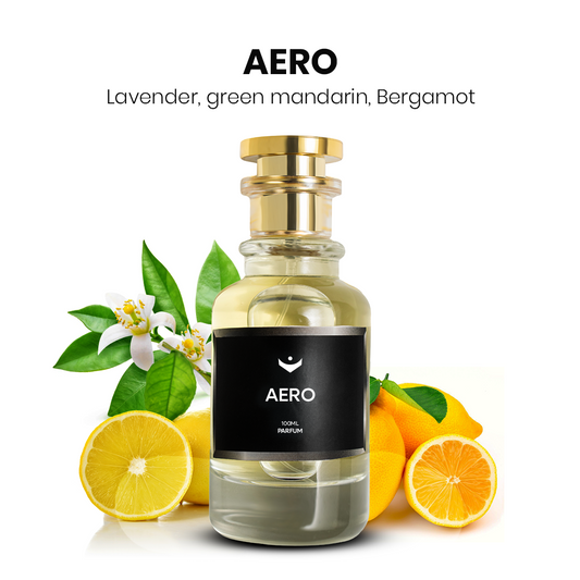 Aero - Inspired by LV Imagination