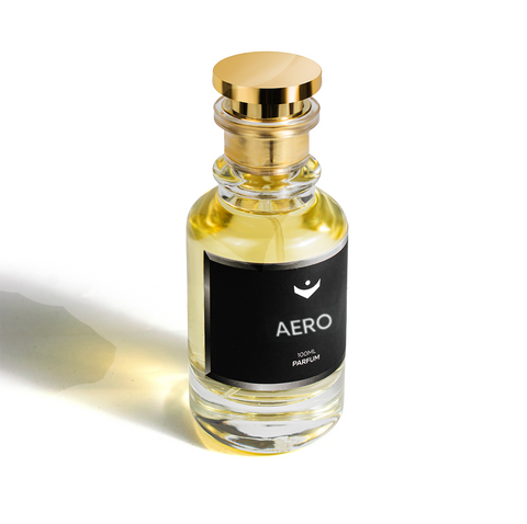 Aero - Inspired by LV Imagination