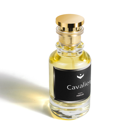 Cavalier - Inspired by Acqua Di Gio Profondo (PARFUM)