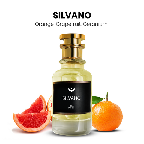 SILVANO – Inspired by Terre d’ Hermès by Hermès