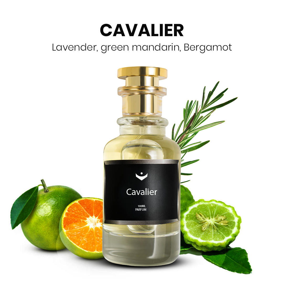 Cavalier - Inspired by Acqua Di Gio Profondo (PARFUM)
