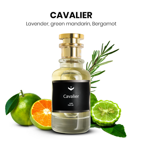 Cavalier - Inspired by Acqua Di Gio Profondo (PARFUM)